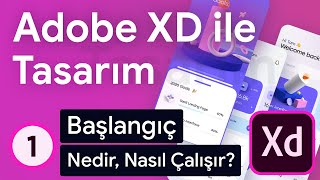 Adobe XD ile Tasarım - 1 - Adobe XD Nedir, Nasıl Çalışır? | Adobe XD Dersleri