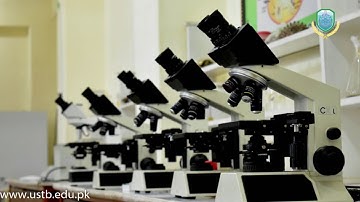 Botany Department - University of Science and Technology Bannu - UST Bannu - MR KHAN