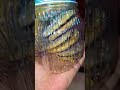 کوکیای خوشمزه مارو امتحان کنید جنوب رژیمی میناب ترند بندرعباس سوغاتی Food کوکی کیک تنقلات کوکیای خوشمزه مارو امتحان کنید جنوب رژیمی میناب ترند بندرعباس سوغاتی Food کوکی کیک تنقلات