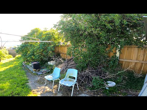 Almighty Garden Disaster