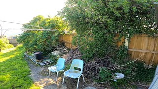 Almighty Garden Disaster Restored | Unbelievable Yard Transformation