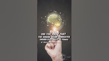 Human Brain Powers LED Light? | Surprising Brain Fact