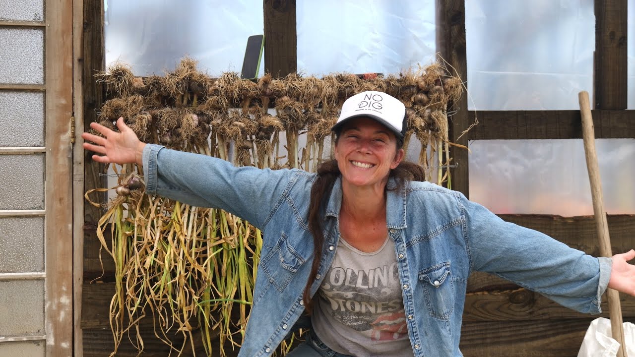 Tenemos Ovejas! Coseché mis ajos y aprendi a hacer Queso | Las sincronías de la Vida