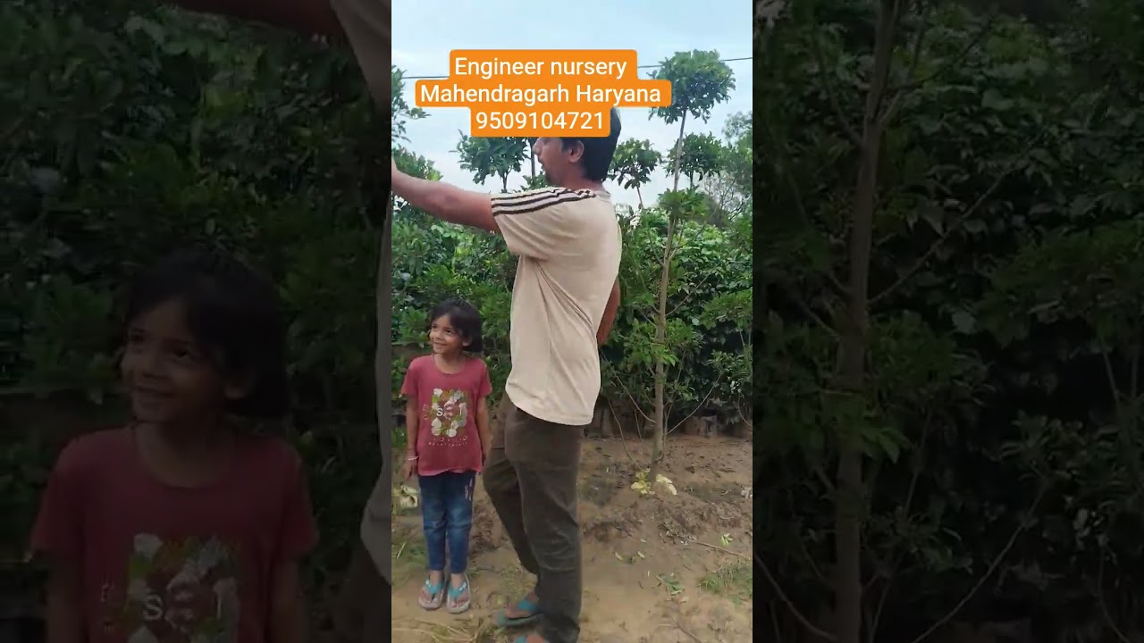 Engineer nursery Mahendragarh Haryana call kar 💞💞