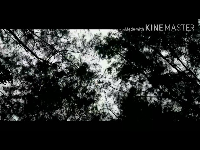 Aktivitas Cinematic B-roll#andikobra79 class=