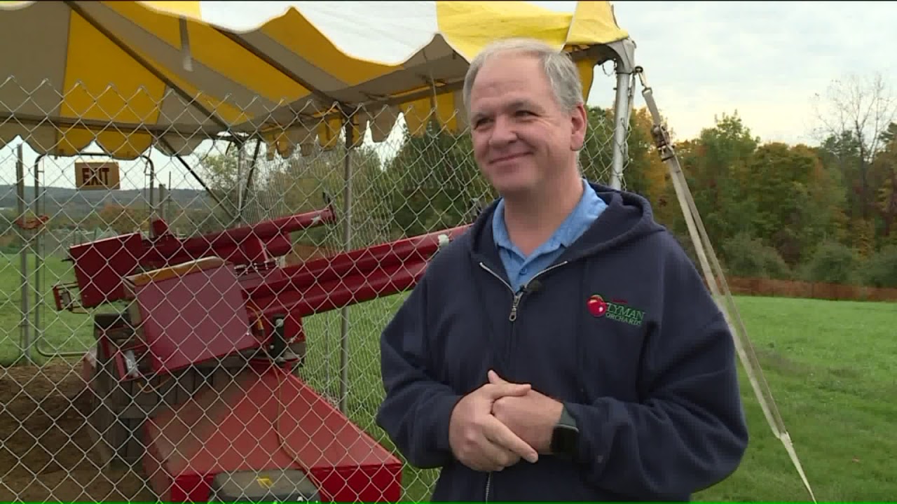 High Powered Apple Cannons at Lyman Orchards in Middlefield, CT