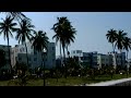 Air Miami - Seabird (Official Video)