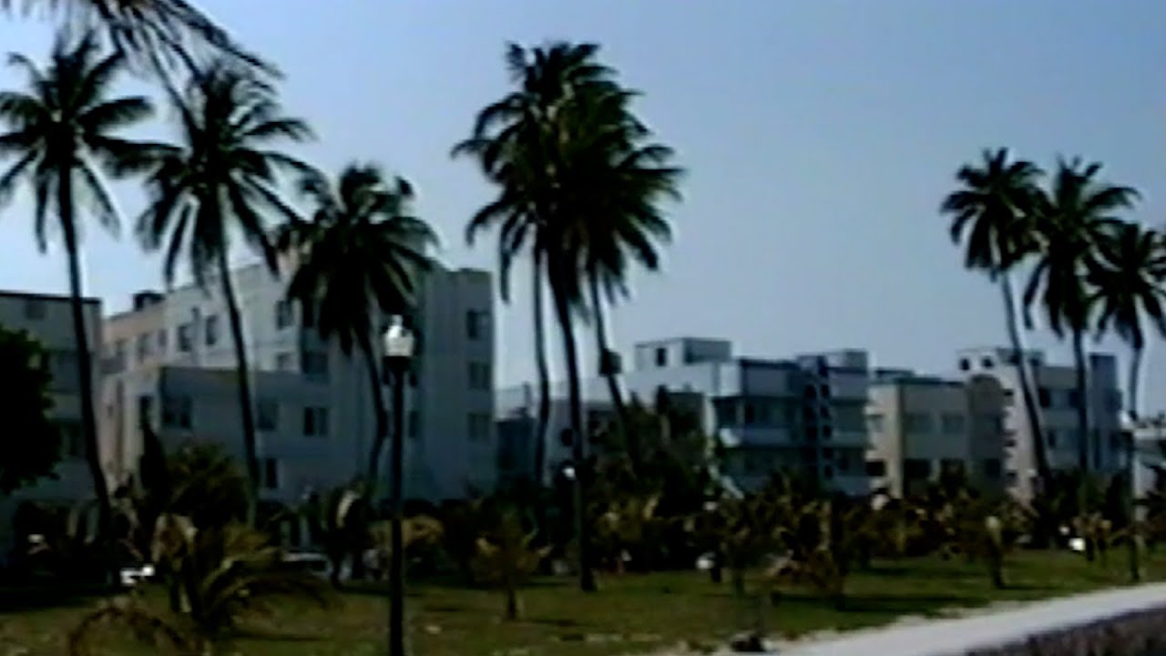Watch Air Miami - Seabird (Official Video) on YouTube Watch Air Miami - Seabird (Official Video) on YouTube