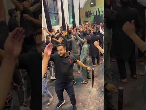 عزاء الباكستانية شهادة أمير المؤمنين عليه السلام ستوريات حسينيه Shorts