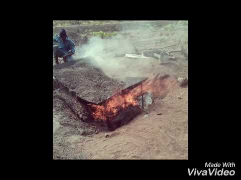 Video: Disinfection Of Soil In A Greenhouse