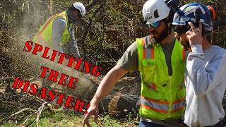Removing Splitting Tree *Gone Wrong*