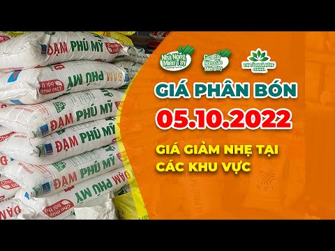 Video Giá phân bón hôm nay ngày 05/10/2022: Giá giảm nhẹ tại... - youtube