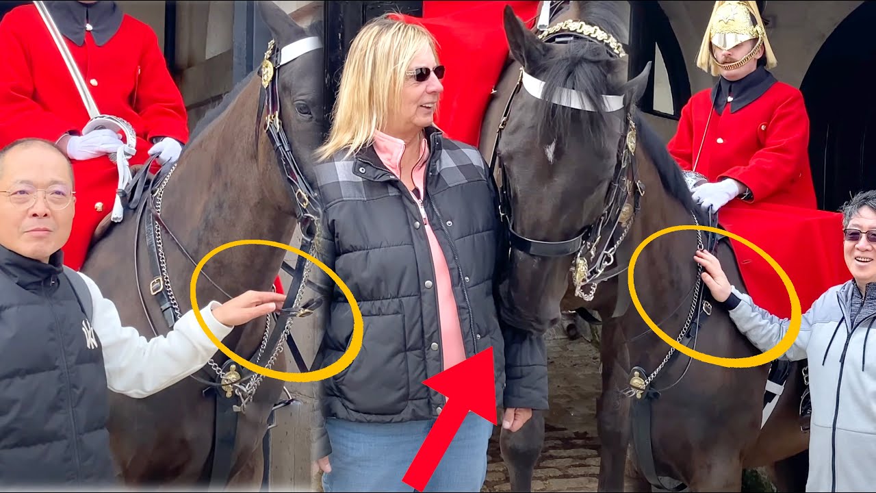 Ignorant IDIOTS!! Don't TOUCH THE REINS!! Horse BIT HER!!