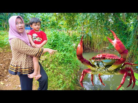 Kepiting Kepiting Alaska