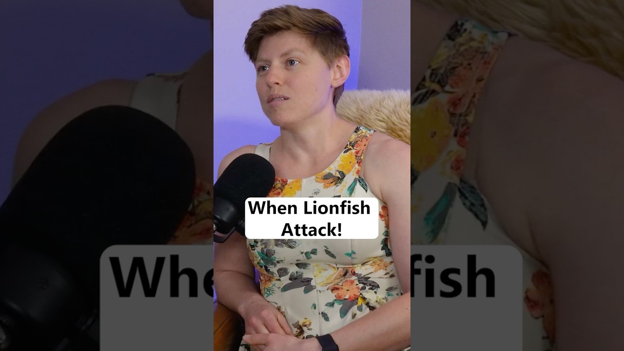 Ever wondered what it feels like to be stung by a lionfish? 🔥🔨
