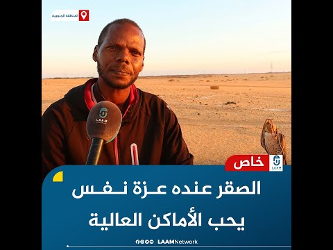 الصقر عنده عزة نفس يحب الأماكن العالية