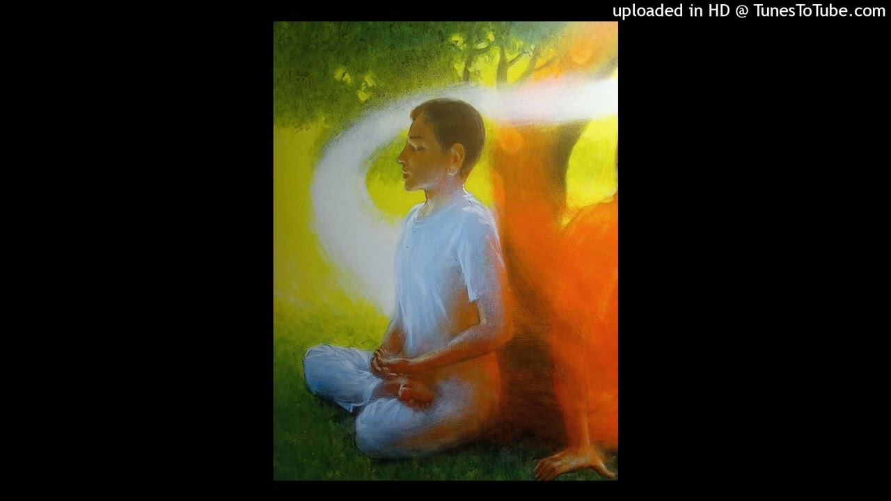 पाऊँ बोधि समाधि स्वामी,  पाऊँ बोधि समाधि।