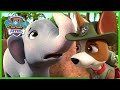 Jungle Rescue Pups save a Baby Elephant! | PAW Patrol | Cartoons for Kids Compilation