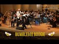 Bumblebee Boogie