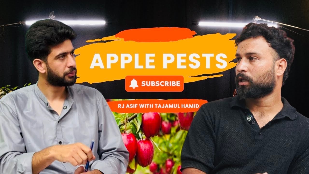 Rj Asif in conversation with Tajamul Hamid on Apple pests - YouTube