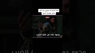 قصة النمرود مع البعوضة (ان الدنيا لا تساوي عند الله جناح بعوضة)