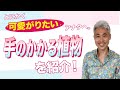 とにかく可愛がりたいアナタへ。手のかかる植物をご紹介！