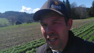 Dinkel Hacken Mit Turiel Dammsystem