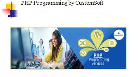 php programming services from CustomSoft