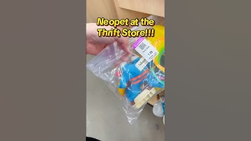 Thrifted a Neopet!! 🥹🧡 #Neopets #ThriftFind #2000sKid #Nostalgia