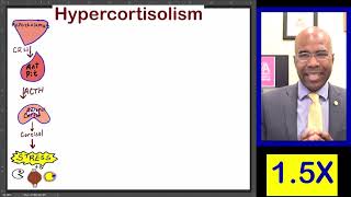 Endo L25 Hypercort 150X