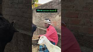 बैंक वालों से बदला #comedy#comedyskits#explore#funny#bank#viral#youtubeshorts#fyp#trending#dusmani