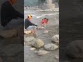 #shorts #koshiriver #ramnagar #viralvideo