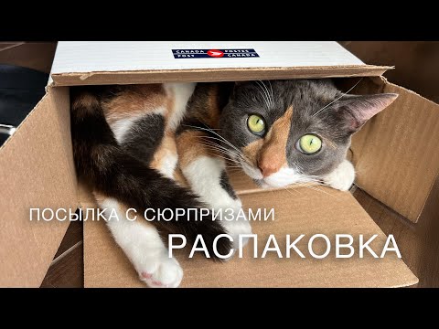What's in the box? BLIND UNBOXING | viewer packages