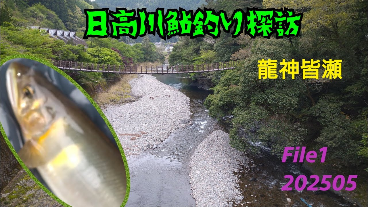 鮎川 10月1日 お取り置き 日高川鮎釣り探訪 File1 龍神皆瀬 フルバージョン 202505 - YouTube