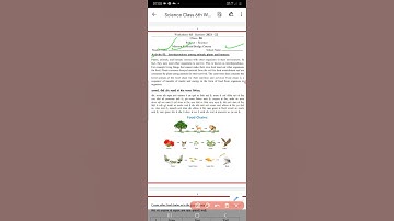 Science worksheet 3- class 6