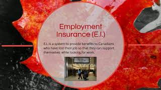 BBI2O   Mar 31   Canada's Social Safety Net