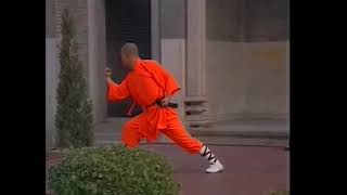 Kung Fu Shaolin Da Luohan Quan  少林大罗汉拳  Tutorial 2