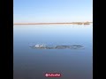Sight Fishing Redfish EAT | #TeamActionHat 0054