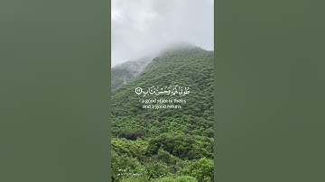 سورة الرعد - الآية ( ٢٩) القارئ عبد الرحمن مسعد