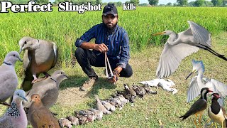 Ultimately Best Birds Hunting with Slingshot | Primitive Way For Birds Hunting screenshot 4