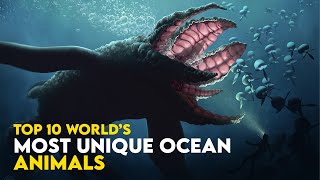 Top 10 World&#39;s Most Unique Ocean Animals