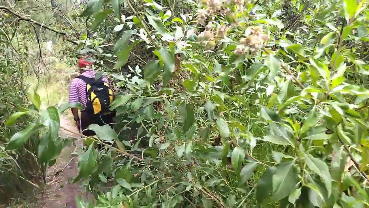 CAMINATAS Y AVENTURAS AL EXTREMO SEÑORES COMO ESTANTODOS EN ESTE NUEVO DIS MUCHAS BENDICIONES 