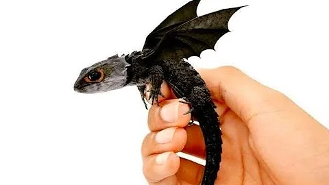 ¿Cuál es la mascota más parecida a un dragón?