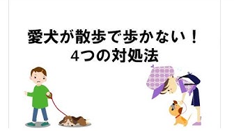 歩かない Youtube
