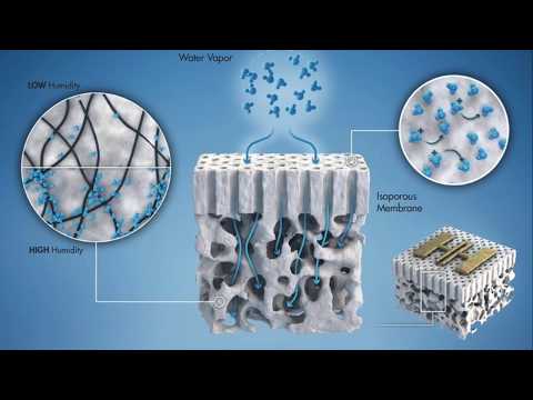 Research Spotlights - Novel Isoporous Membrane-based Humidity Sensor