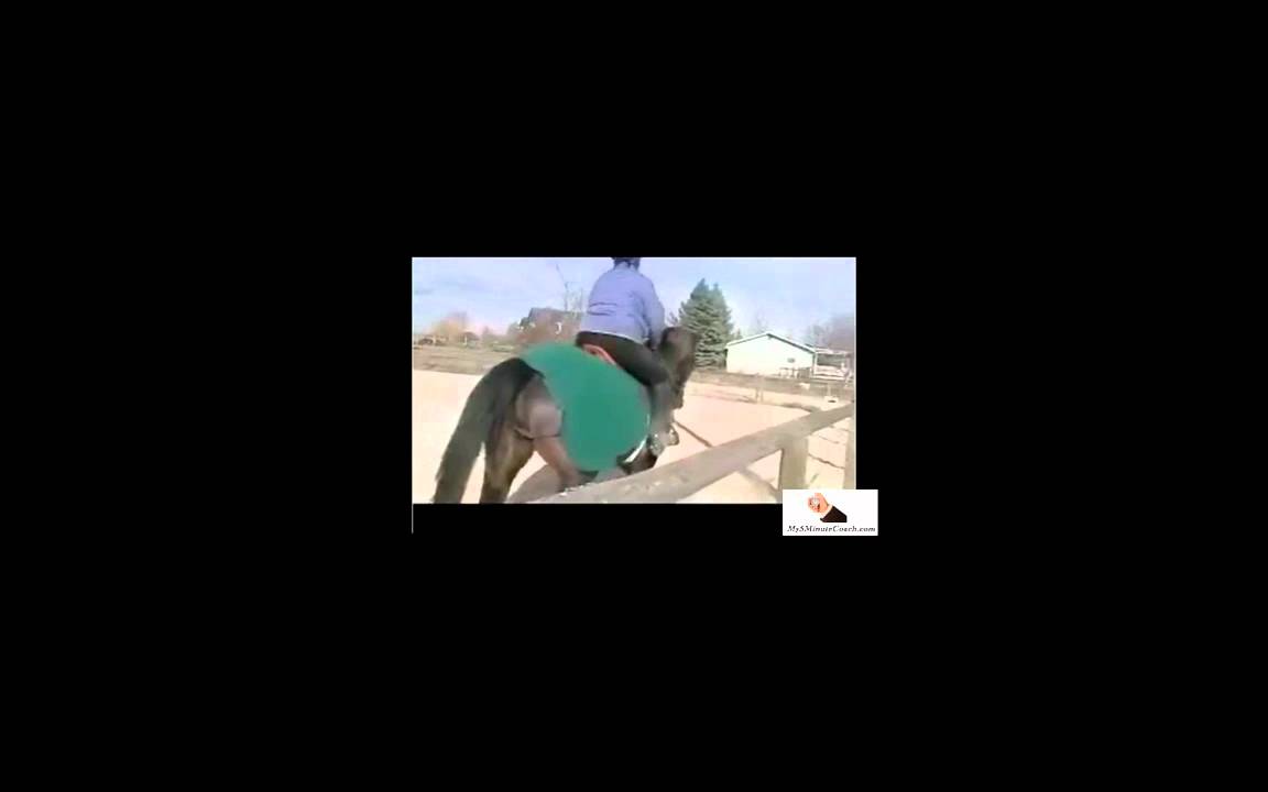 Online Horse Jumping Lesson YouTube