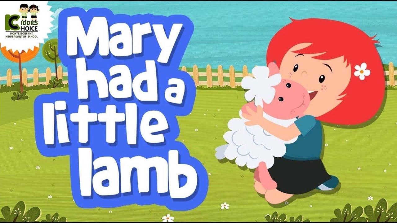 Amys Little Lamb Summer Camp Adventure