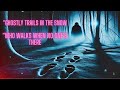 GHOSTLY TRAILS IN THE SNOW WHO WALKS WHEN NO ONE’S THERE