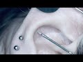 Triple piercing macro gros plan rook conque conch lobe