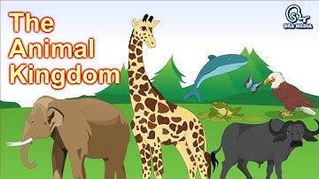 The Animal Kingdom | Animal Classification |  Classifying Animals | Class 4  EVS | HD Video